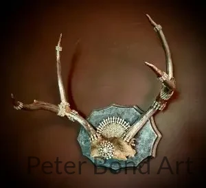 Authentic Deer Antler 1 16368FAB 2CF9 40DF B851 80E8F87EAB0B 1 201 A 300x274
