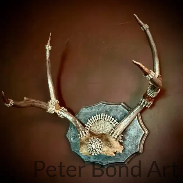 Authentic Deer Antler 1