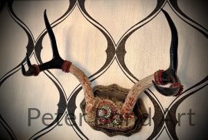 authentic deer antler (copy)