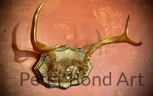 Authentic Deer Antler 5 authentic deer antler 6