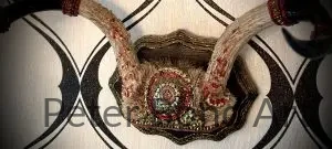 Authentic Deer Antler 2 authentic deer antler (copy)
