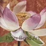 authentic deer antler 4