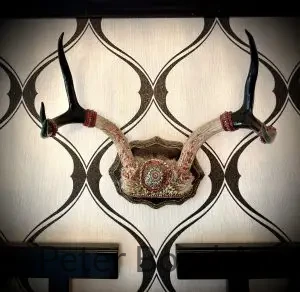 authentic deer antler (copy)