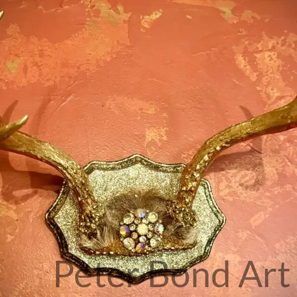 authentic deer antler 6