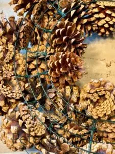 ponderosa pinecone wreath