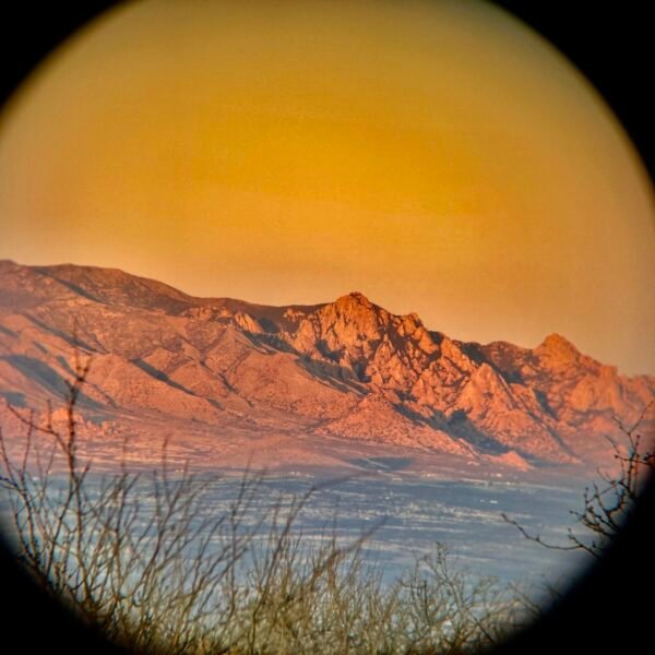 photo print 8"x10" firebush (copy)
