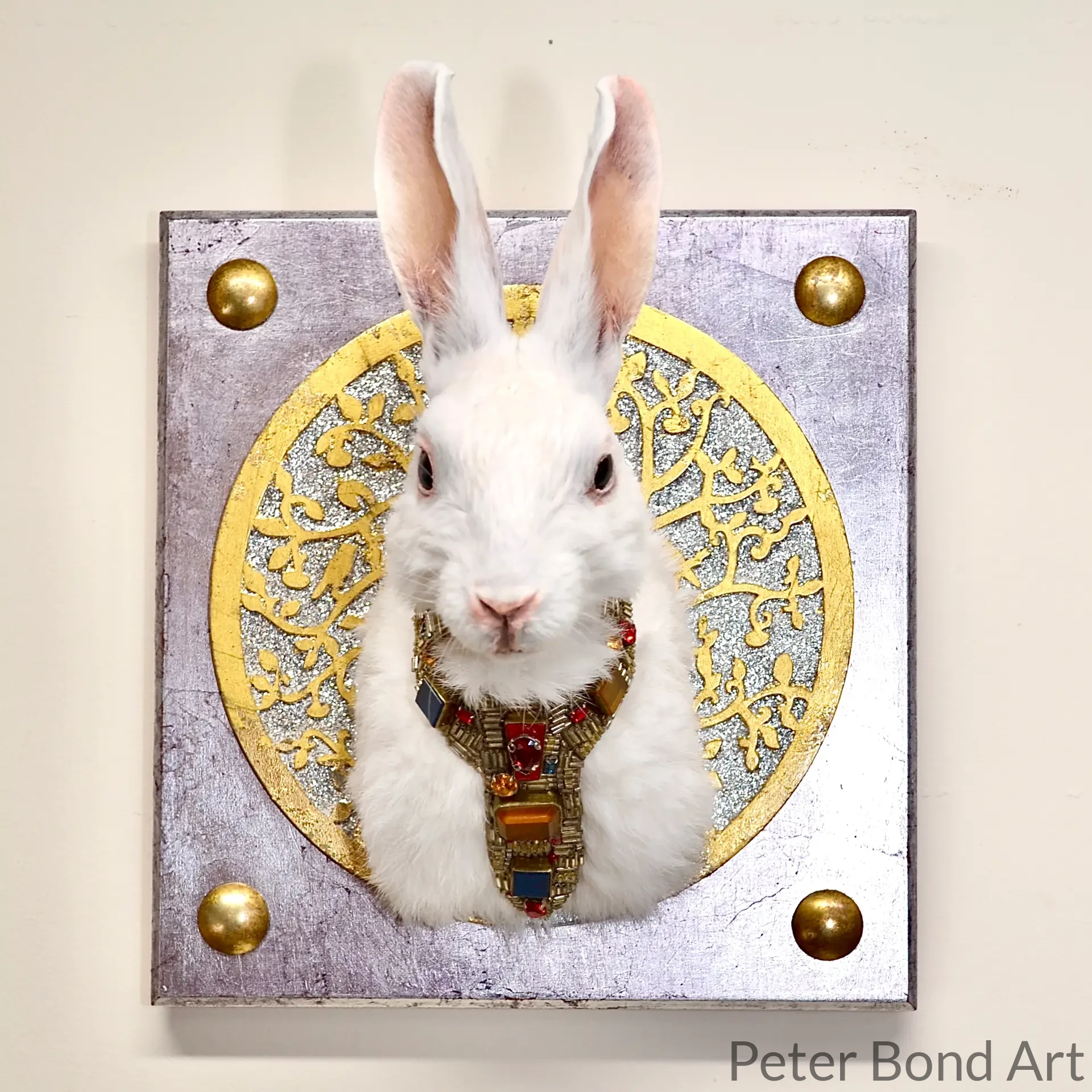 taxidermy rabbit "lucian" taxidermy rabbit "lucian"